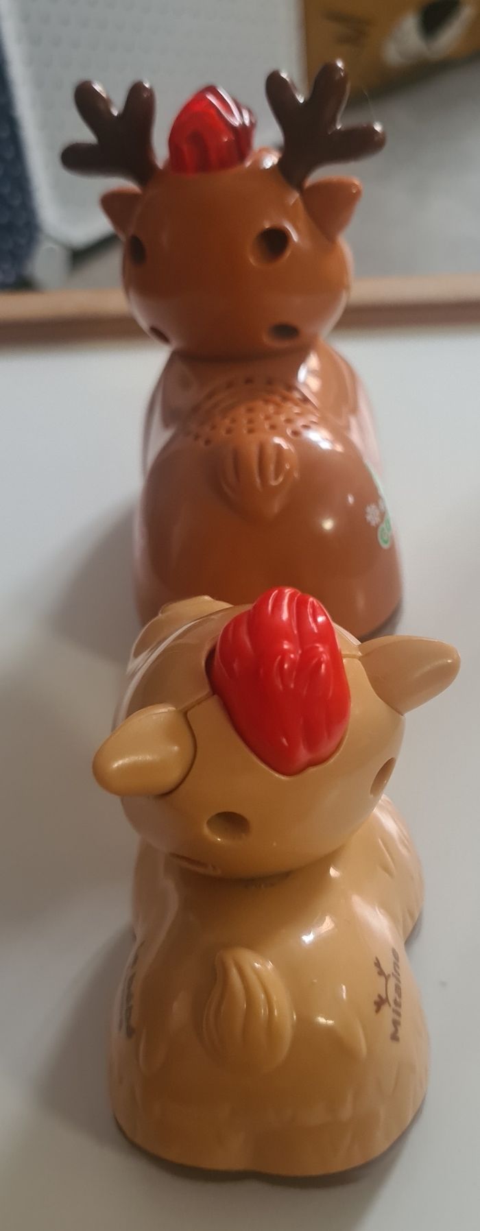 Tut tut animaux - photo numéro 3