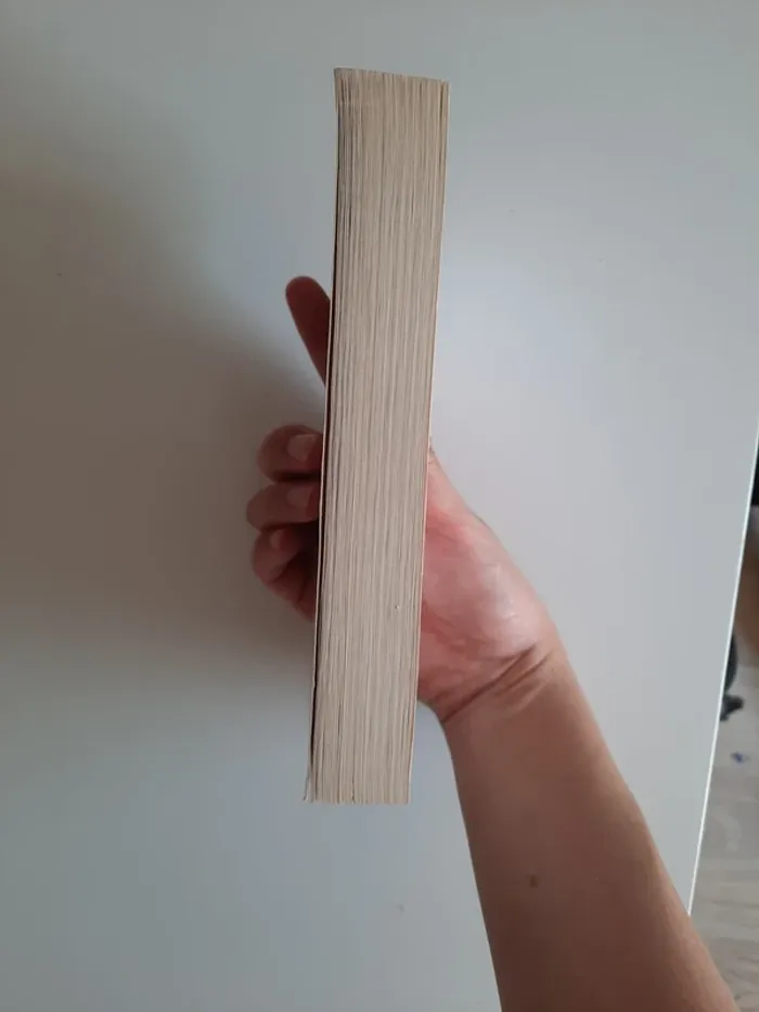 livre absolument débordée - photo numéro 5