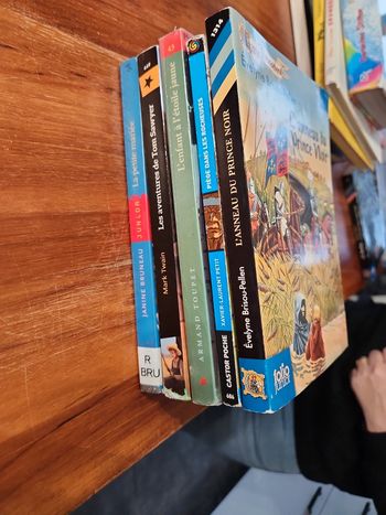 Lot de 4 livres enfant 10/11 ans