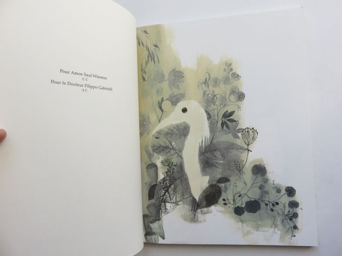 Album 7 à 11 ans : La volière dorée. (Anna Castagnoli - L'école des loisirs) - photo numéro 2