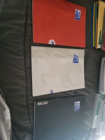 Lot 3 cahiers oxford 21x29.7