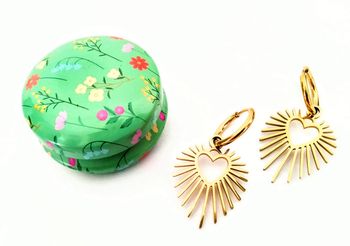 Boucles d'oreilles acier inoxydable et leur boîte