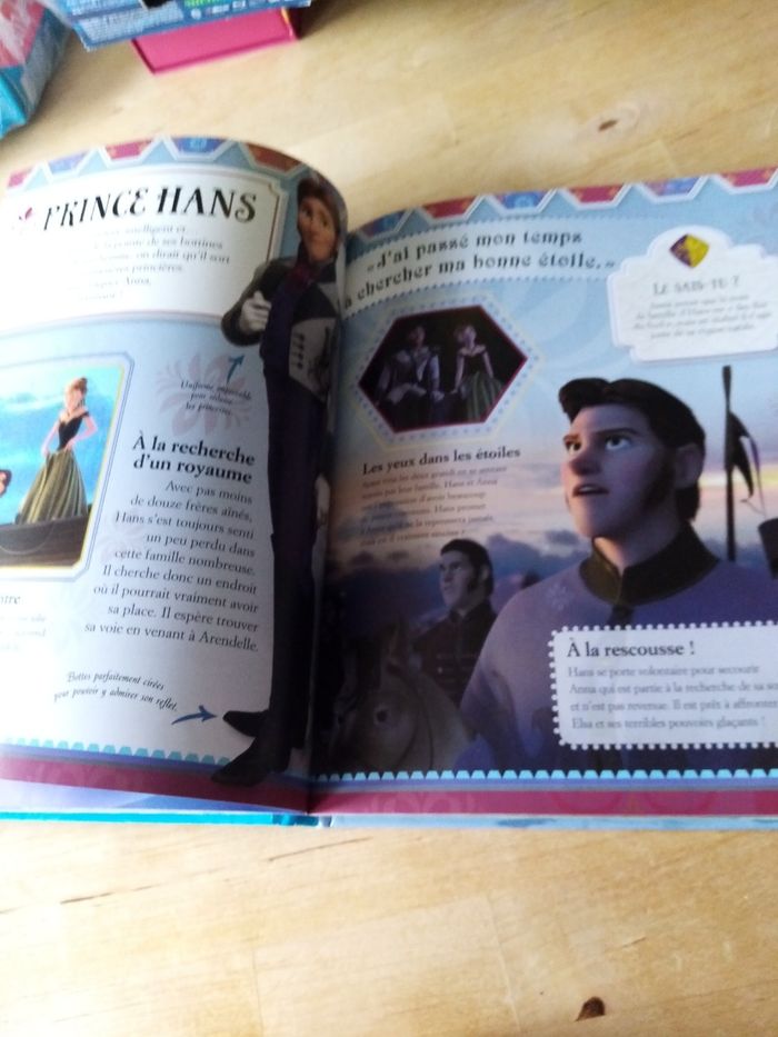 Guide la reine des neiges - photo numéro 3