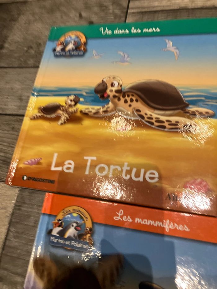 Lot livres + figurines - photo numéro 13