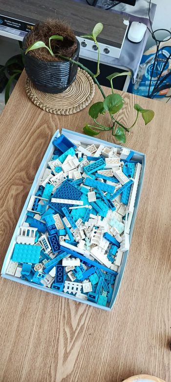 "‼️ LEGO VRAC PAS CHER – TRIÉ PAR COULEUR – ÇA PART VITE ‼️"