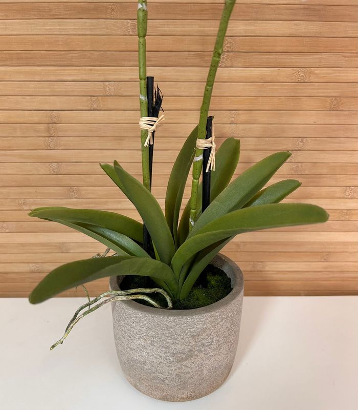 Orchidée artificielle de 60cm avec 2 branches - photo numéro 4
