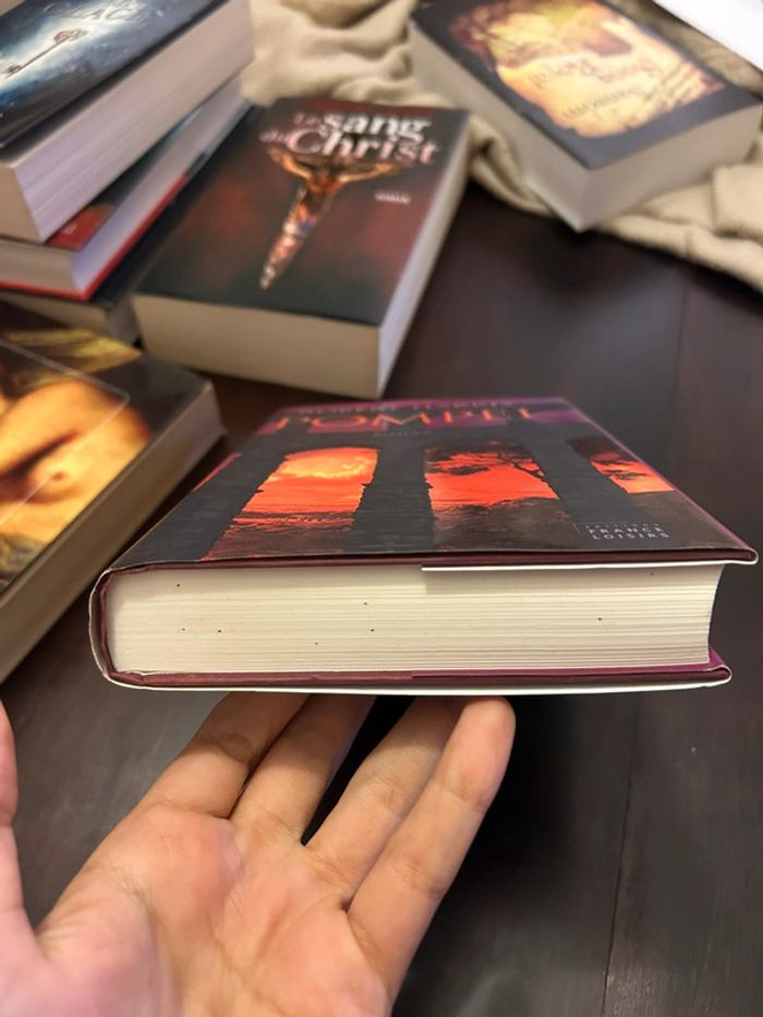 Livre Pompéi de Robert Harris - photo numéro 4