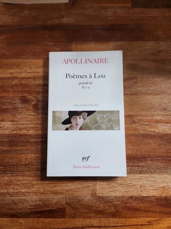 Livre : Poème a Lou