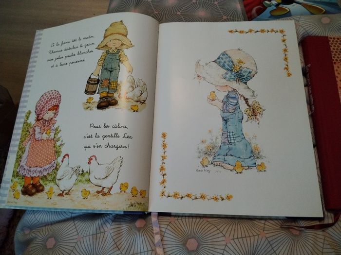 Vends lot de livres Sarah Kay - photo numéro 4