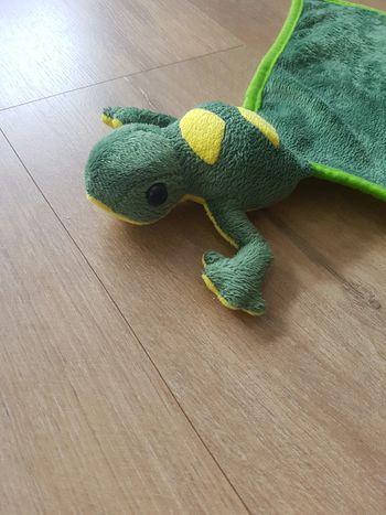 Doudou plat lézard