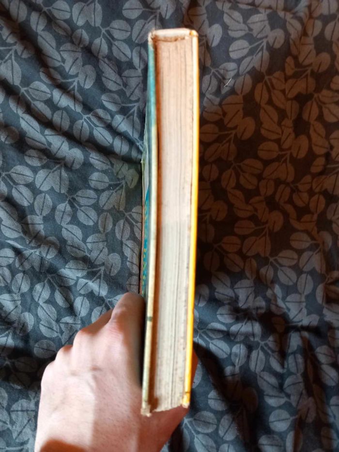 Walt Disney Des pays et des hommes - photo numéro 5