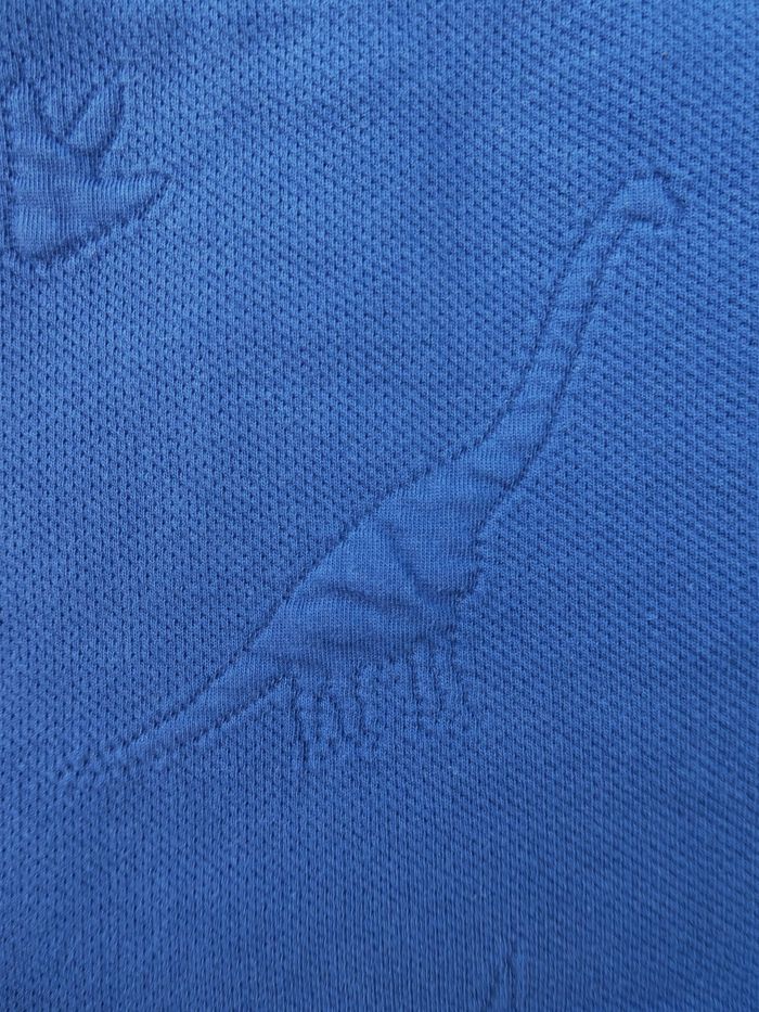 Pull garçon avec dinosaures - 6 ans - photo numéro 2