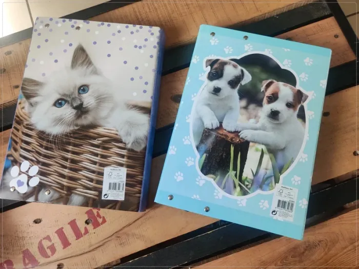 Lot de 2 chemises de classement chat et chien - photo numéro 2