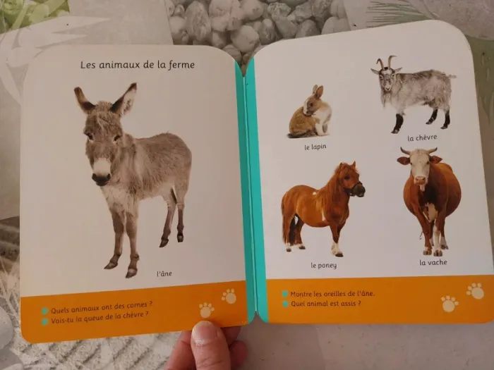 Livre Petits pas La ferme - photo numéro 4