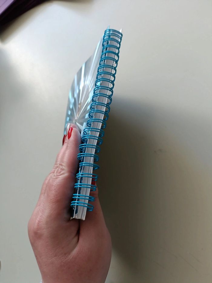 Cahier pour écrire la reine des neiges - photo numéro 4