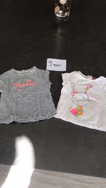 Lot 2 teeshirt manches courtes