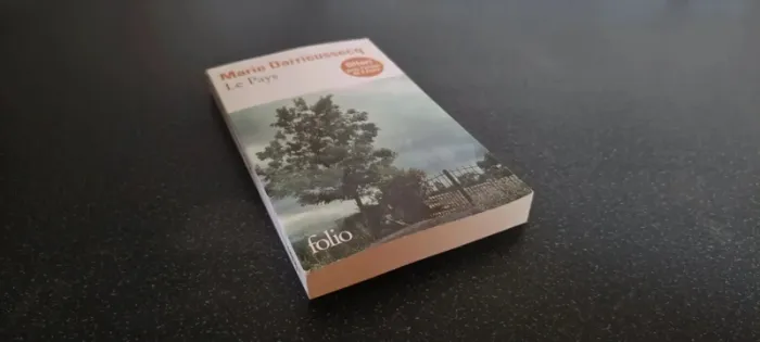 livre: le pays - photo numéro 4