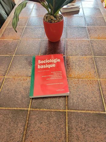 Sociologie basique