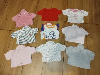 Lot de 9 bodies bébé fille 24 mois manches courtes