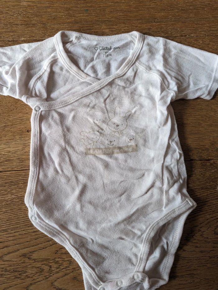 Lot 3 bodies manches courtes kitchoun / pommettes 9 mois - photo numéro 7