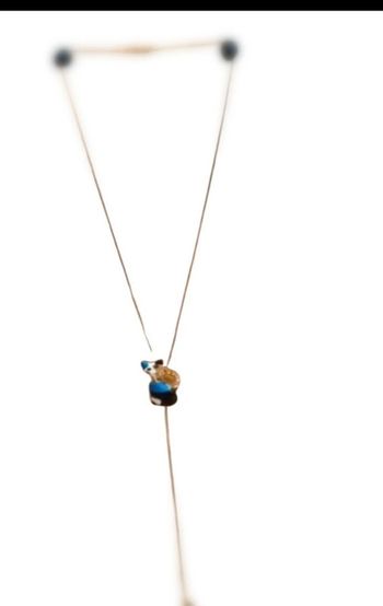 Collier chat