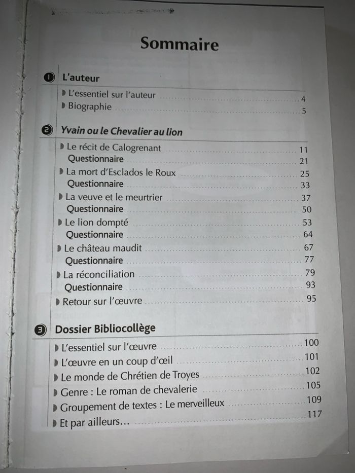 Yvain ou le chevalier au lion - Chrétien de Troyes - photo numéro 4