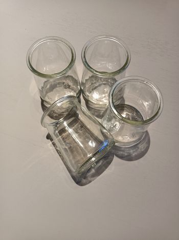 Lot de 4 petits pots en verre