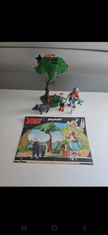 Playmobile asterix 71160