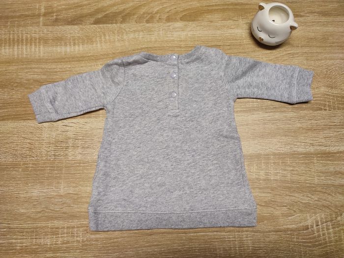 Robe chat - photo numéro 2