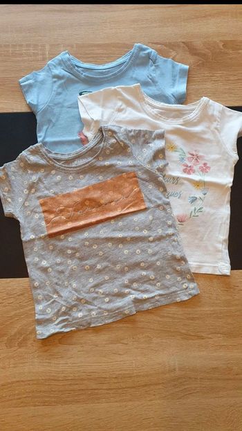 Lot de 3 tee-shirts manches courtes 1,5-2 ans