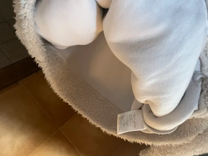 Sweat moumoute écru - photo numéro 4