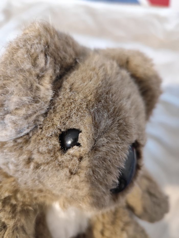 Peluche koala - photo numéro 6