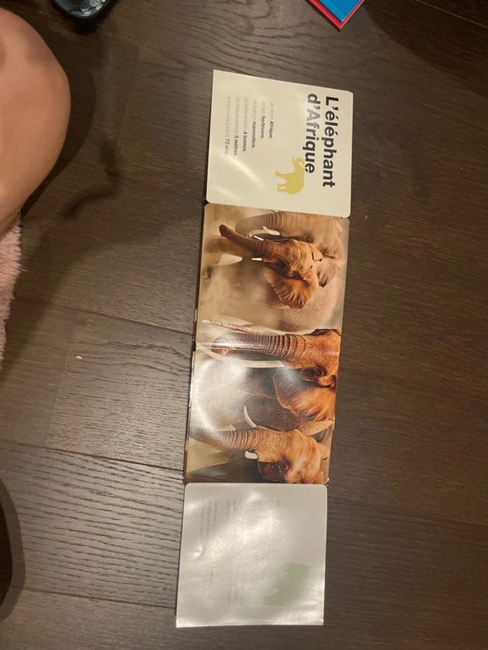 Drôles de peaux! - photo numéro 7