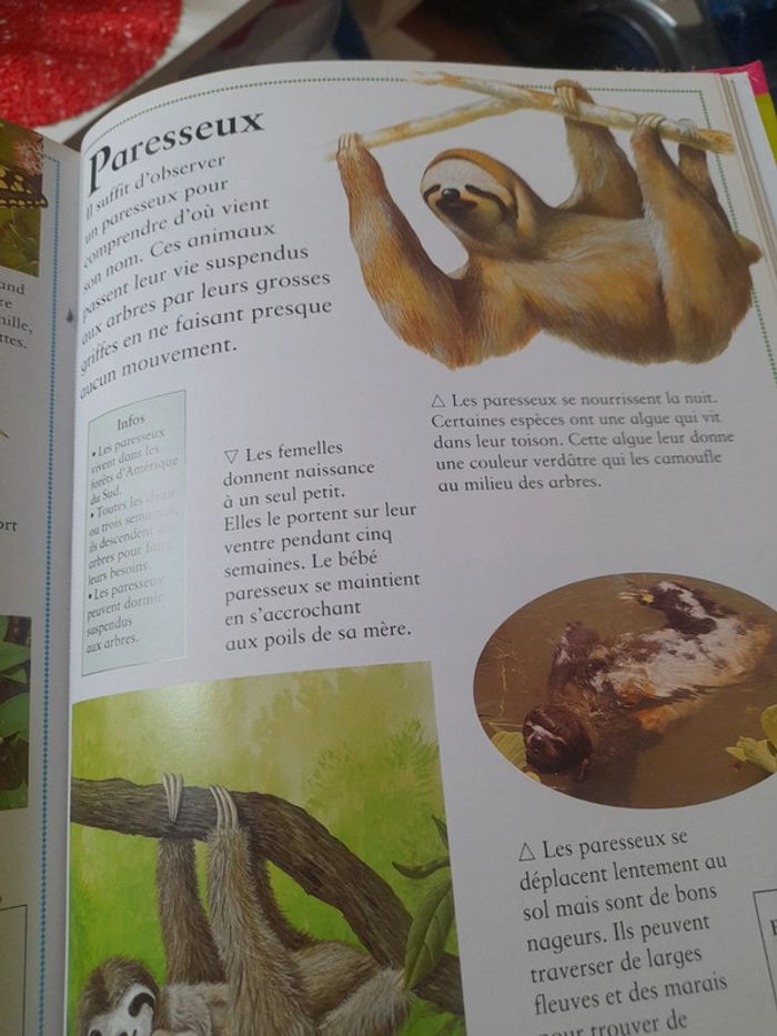 Le grand livre des animaux de A à Z - photo numéro 4