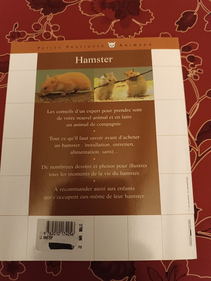 Hamster mode de vie - photo numéro 2