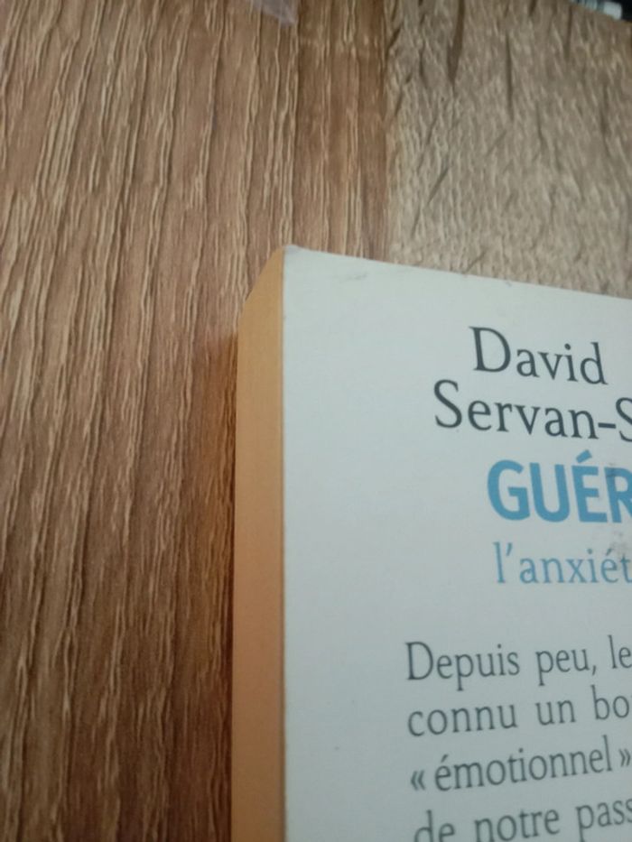 David Servan-Schreiber - Guérir le stress, l'anxiété et la dépression - photo numéro 6