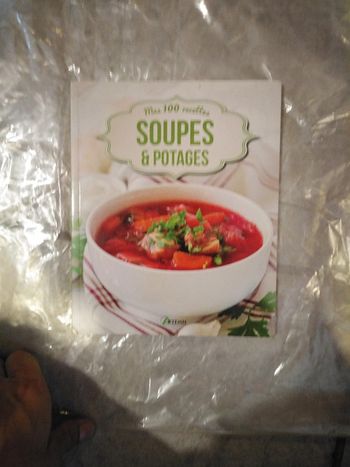 Mes 100 recettes soupes et potages