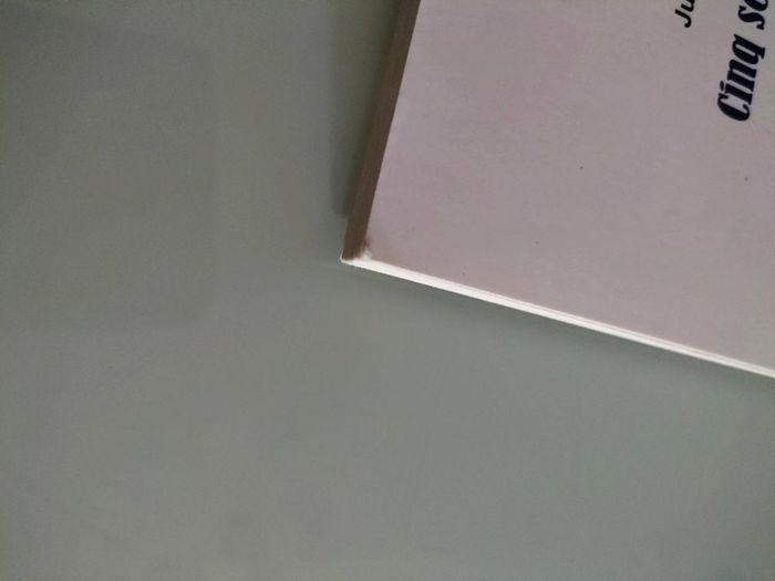 Cinq semaines en ballon de Jules verne - photo numéro 5