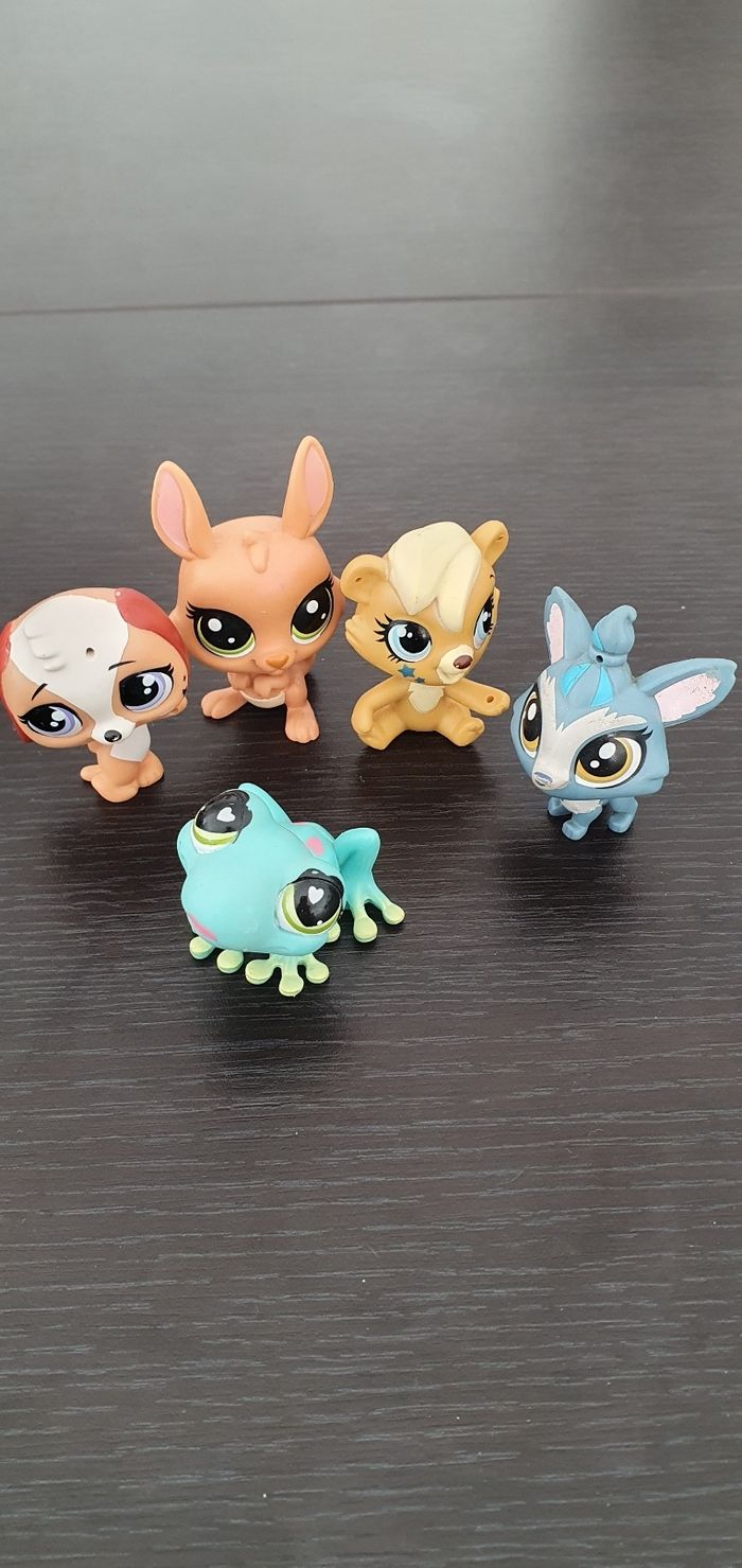 5 pet shop