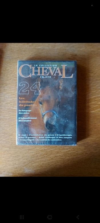 DVD