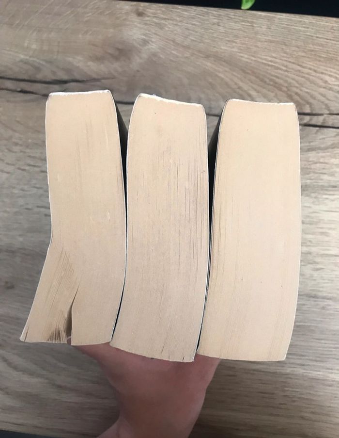 Livres Cinquante Nuances de Grey T 1,2,3 - photo numéro 6