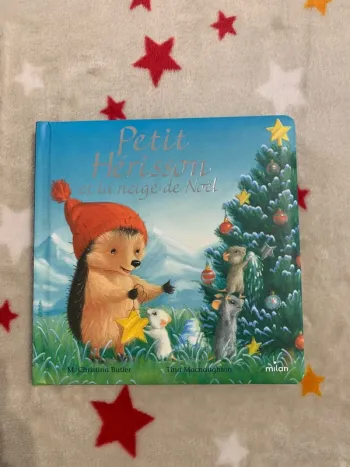 Petit Hérisson et la Neige de Noël – Petit format
