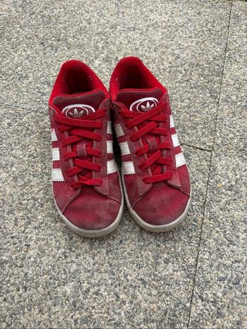 Basket campus Adidas