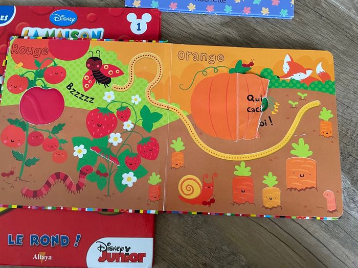 Lot livre couleur et forme - photo numéro 5