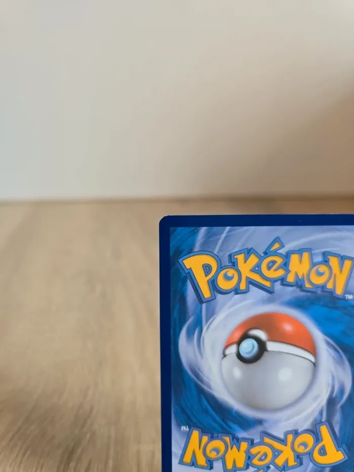 Pikachu 6/12 - photo numéro 7