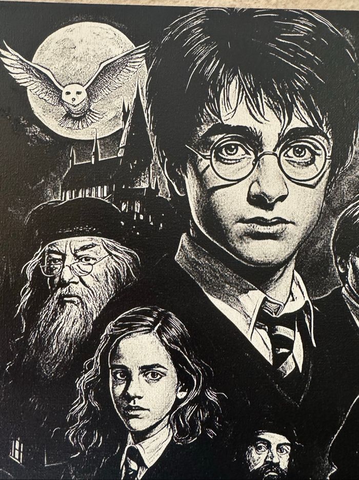 Tableau personnages Harry Potter en toile 30x40cm - photo numéro 4