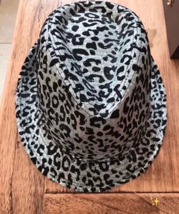 Chapeau brillant T.55