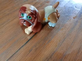 Chien magic babies pets