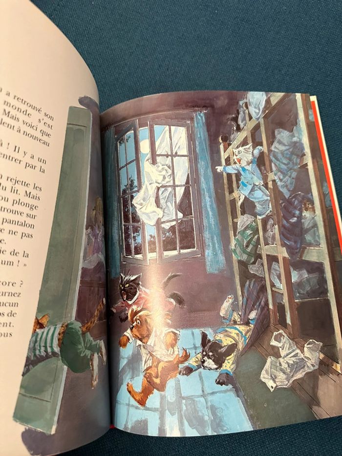 Livre rare collector édition limitée bords rouges Caroline et Boum Ermite Pierre Probst - photo numéro 5