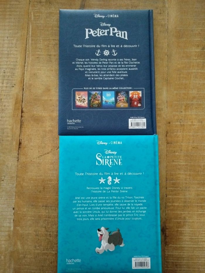 Livre Disney - photo numéro 2